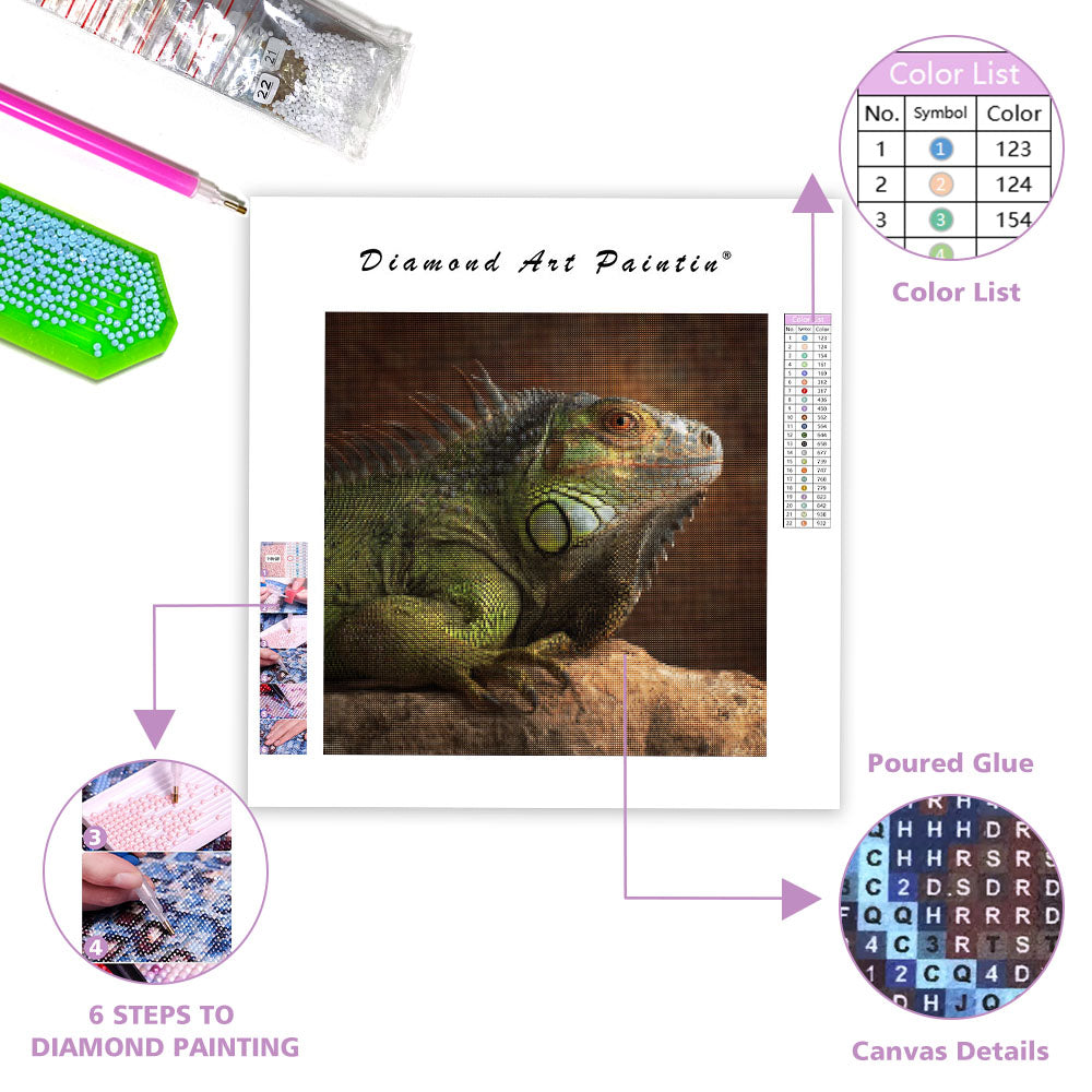 Green Iguana on Rock - Diamond Painting