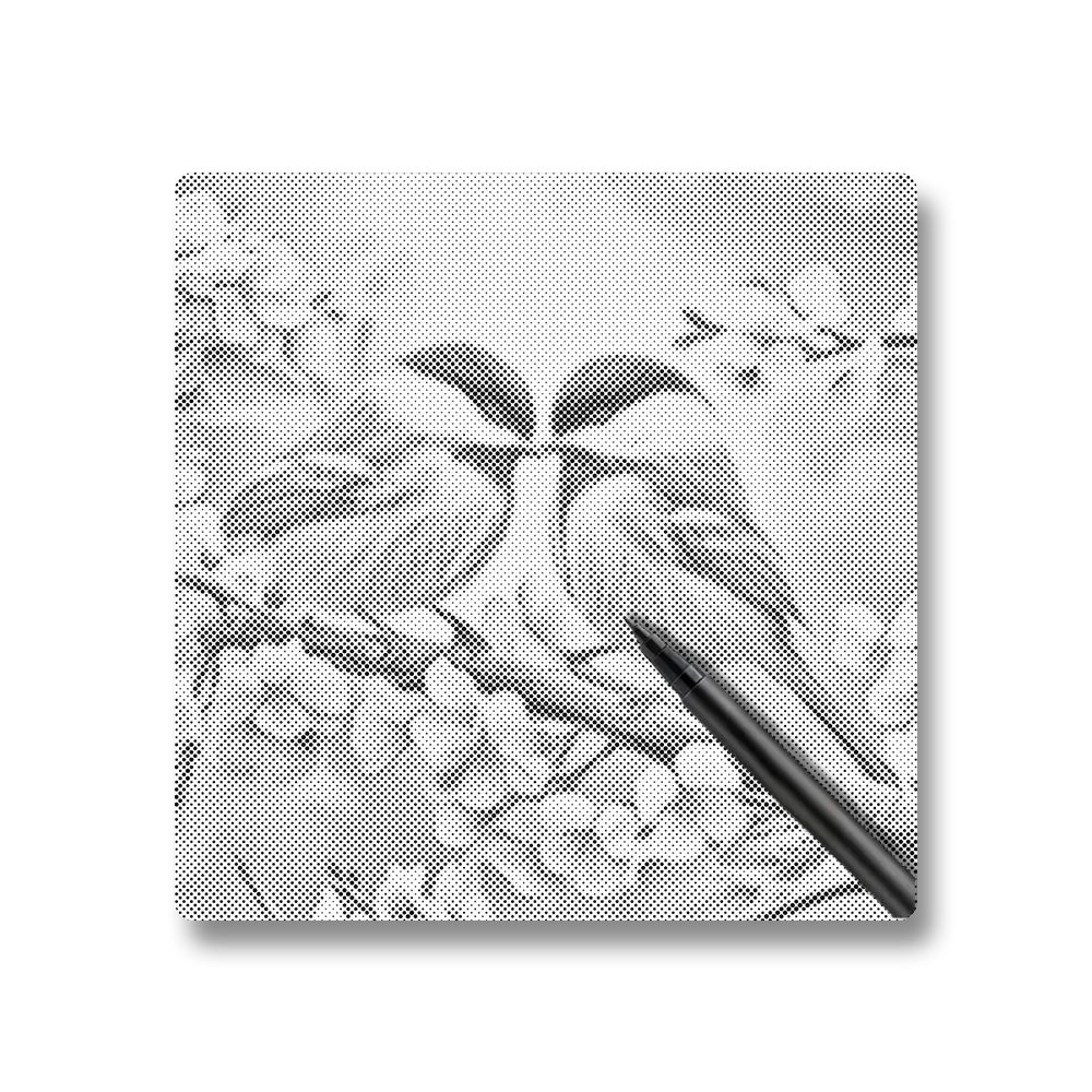 Love Birds - Dot Painting