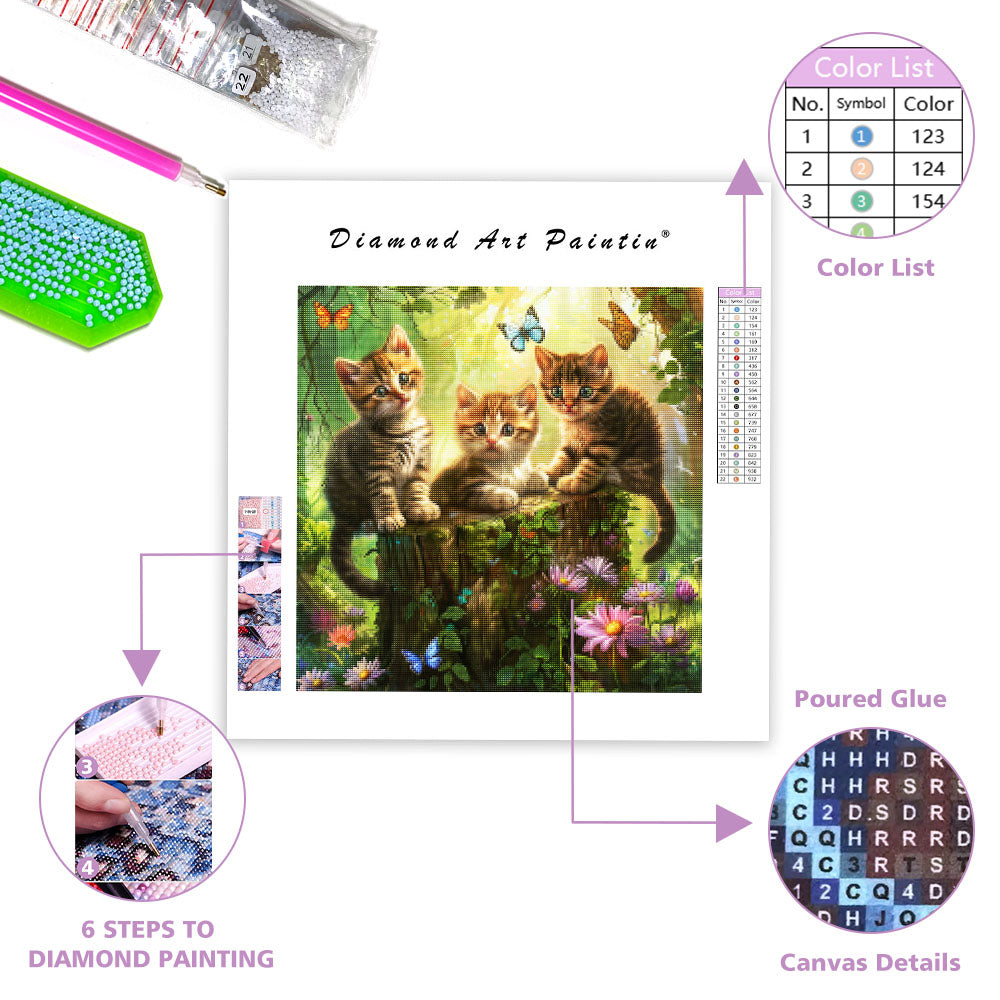Curious Paws - Diamond Painting