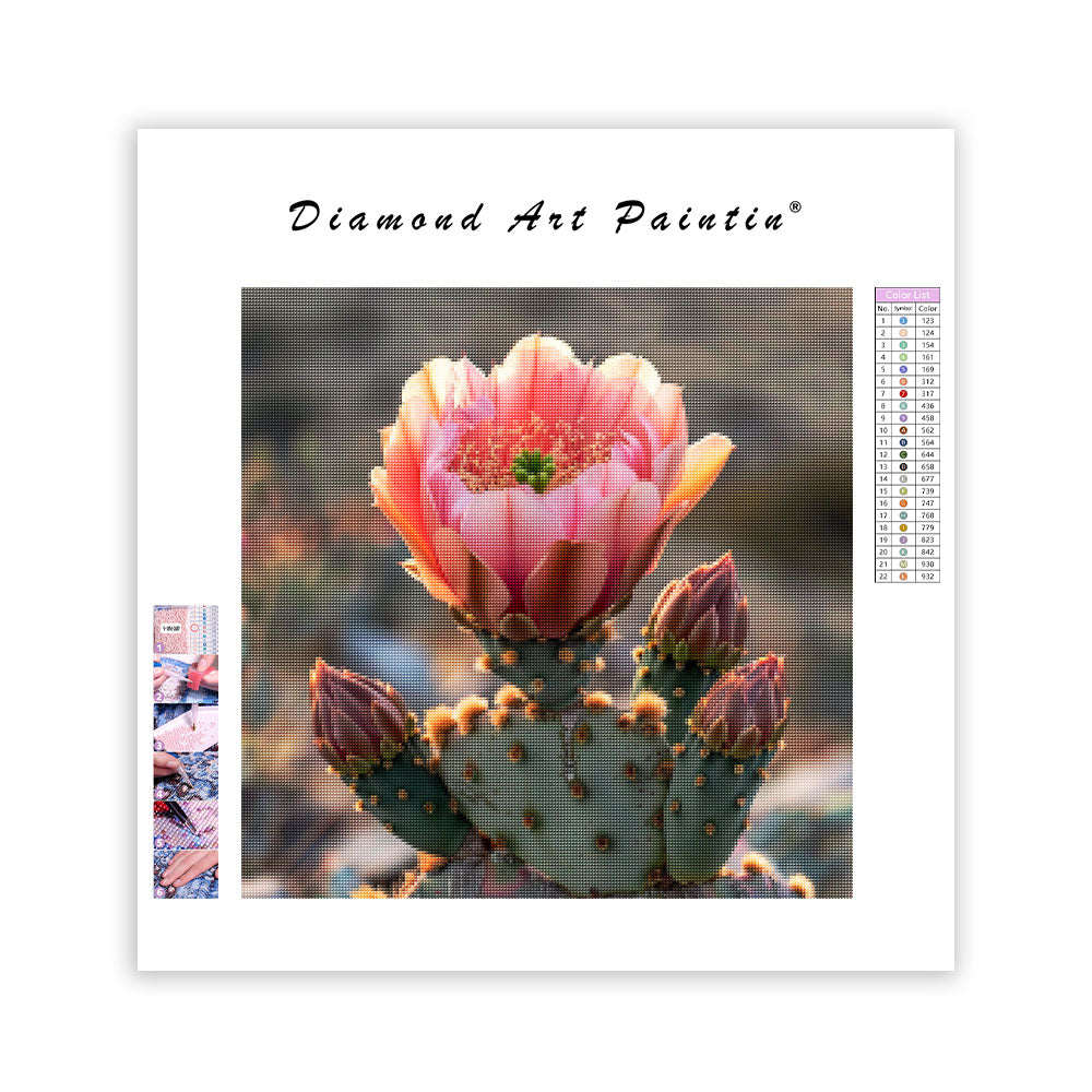Cactus Bloom - Diamond Painting