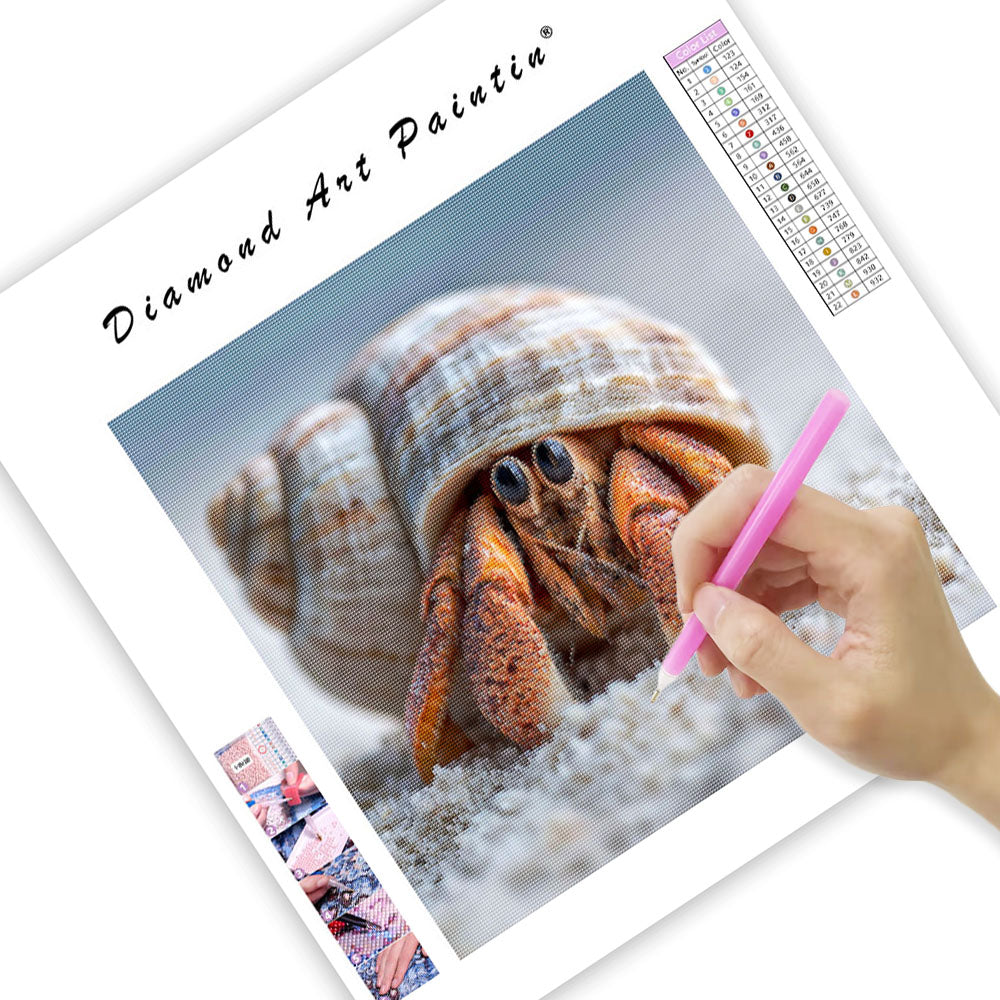 Hermit Crab in Shell - Diamond Painting