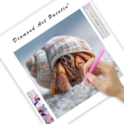 Hermit Crab in Shell - Diamond Painting