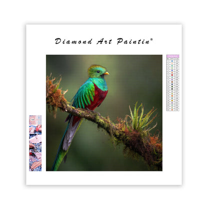 Resplendent Quetzal - Diamond Painting