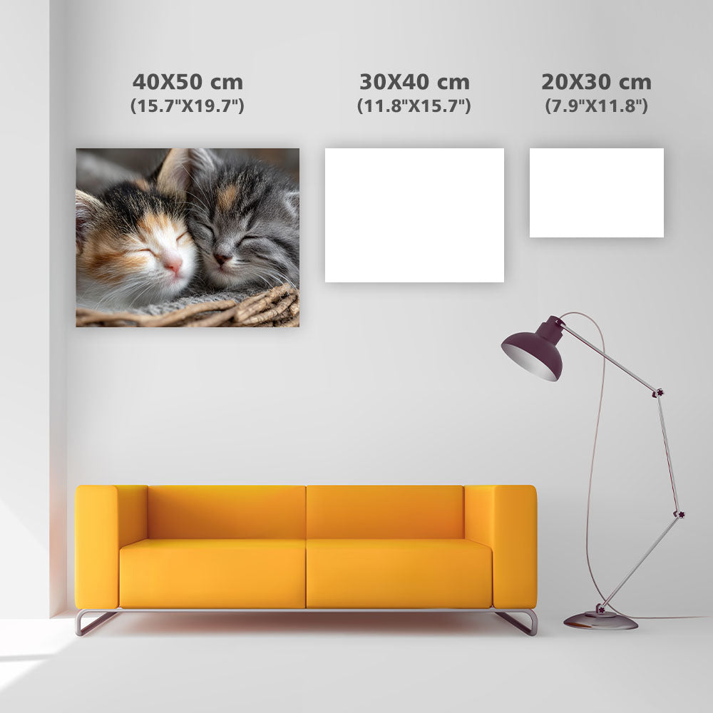 Kittens' Cuddly Slumber - Diamond Painting