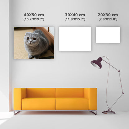 Scottish Fold Loaf - Diamond Painting