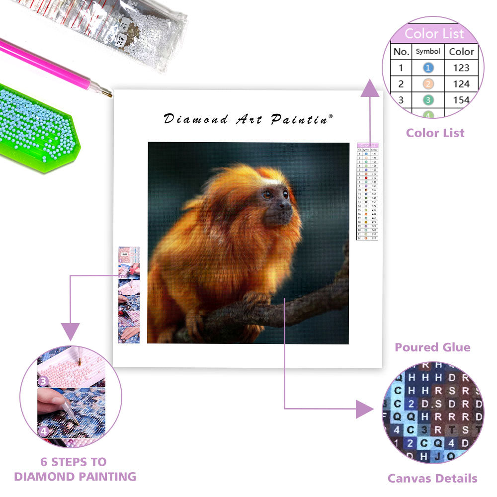 Golden Lion Tamarin - Diamond Painting