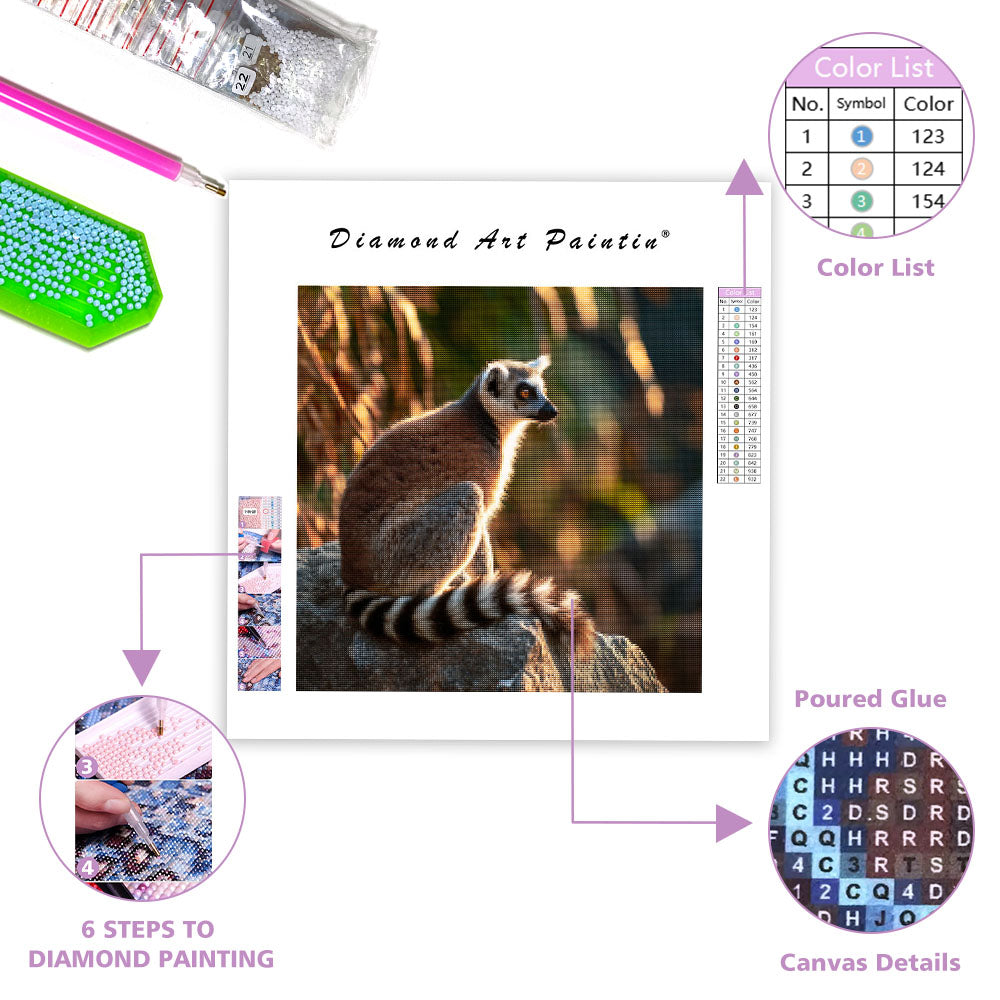 Ring-tailed Lemur Sunbathing - Diamond Painting