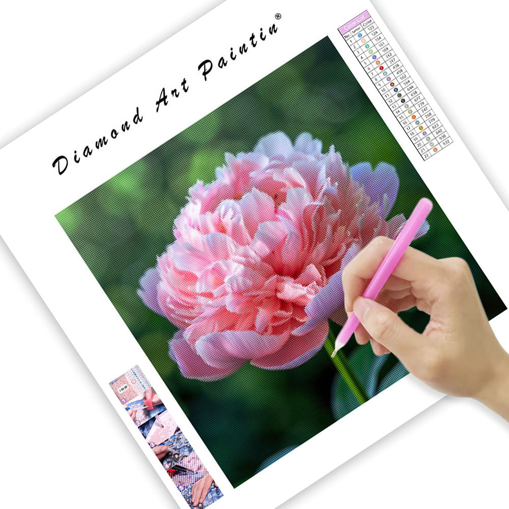Peony Prosperity - Diamond Painting