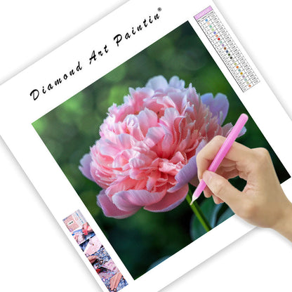 Peony Prosperity - Diamond Painting