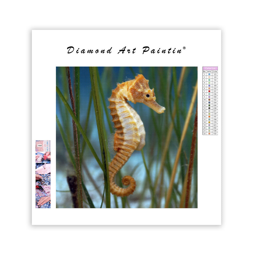 Seahorse on Seagrass - Diamond Painting